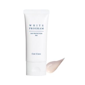 デイプロテクションWH